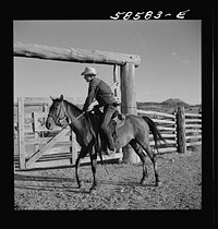 Cowboy on a ranch horse in the corral at Quarter Circle U, Brewster-Arnold Ranch Company. Birney, Montana. Sourced from the Library of Congress.