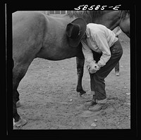 [Untitled photo, possibly related to: Removing horseshoes at the end of the summer season before turning the horses out on the range for the winter. In the corral at Quarter Circle U, Brewster-Arnold Ranch Company. Birney, Montana]. Sourced from the Library of Congress.