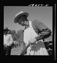 The chef barbecuing beef at the stockmen's picnic and barbecue. Spear's Siding, Wyola, Montana. Sourced from the Library of Congress.