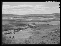 Ranches and farming land in the Yampa River Valley, Colorado. Sourced from the Library of Congress.