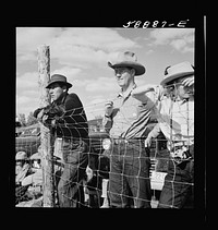 [Untitled photo, possibly related to: Dudes and cowboy from Quarter Circle U Ranch at Crow Indian fair. Crow Agency, Montana]. Sourced from the Library of Congress.