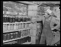 FSA (Farm Security Administration) rehabilitation borrower looking over his wife's supply of homegrown, home-canned produce. Jackson County, Wisconsin. Sourced from the Library of Congress.