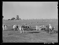 [Untitled photo, possibly related to: FSA (Farm Security Administration) rehabilitation borrower. Grant County, Wisconsin]. Sourced from the Library of Congress.