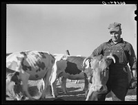 [Untitled photo, possibly related to: FSA (Farm Security Administration) rehabilitation borrower. Grant County, Wisconsin]. Sourced from the Library of Congress.