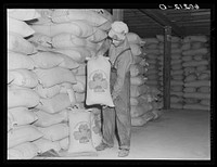 Seed stored at cooperative seed exchange. Williams, Minnesota. Sourced from the Library of Congress.