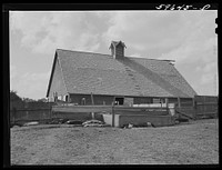 Barn and feeding pens and troughs on Tom Reed farm. Lexington, Nebraska. Sourced from the Library of Congress.