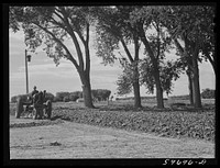 Plowing ground for a garden. Scottsbluff Farmsteads, FSA (Farm Security Administration) project. Scottsbluff, Nebraska. Sourced from the Library of Congress.