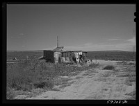[Untitled photo, possibly related to: Abandoned farms and homes in the dry land area of the Sandhills northeast of Scottsbluff, Nebraska. See general caption number one]. Sourced from the Library of Congress.