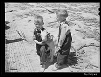 [Untitled photo, possibly related to: FSA (Farm Security Administration) tenant purchase borrower and family. Crawford County, Illinois]. Sourced from the Library of Congress.