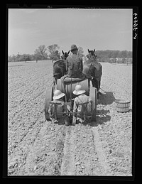 FSA (Farm Security Administration) rehabilitation borrower driving tomato planter. The two little girls sitting in back drop the plants into the ground and cover them up. Crawford County, Illinois. Sourced from the Library of Congress.