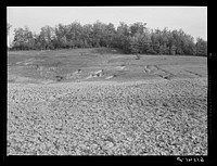Eroded land in hilly Ozark farm country, Missouri. Sourced from the Library of Congress.