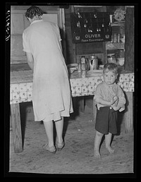 Interior of one-room cabin occupied by family of six, rented from fruit packing plant for one dollar and seventy-five cents a week. Berrien County, Michigan. Sourced from the Library of Congress.