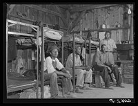 Old barn used as bunkhouse for migrant fruit pickers from the South. This grower employs only unmarried es. Berrien County, Michigan. Sourced from the Library of Congress.