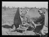 Camp of migrant fruit workers. Berrien County, Michigan. Sourced from the Library of Congress.