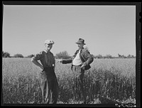 FSA (Farm Security Administration) rehabilitation borrower and part of family. Door County, Wisconsin. Sourced from the Library of Congress.