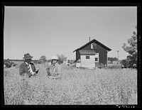 FSA (Farm Security Administration) rehabilitation borrower in field of oats with county supervisor. Door County, Wisconsin. Sourced from the Library of Congress.