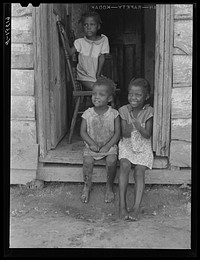 [Untitled photo, possibly related to: Children of Edward Gant, FSA (Farm Security Administration) borrower near Dameron, Saint Mary's County, Maryland]. Sourced from the Library of Congress.