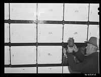 Farmer getting berries out of cold storage locker. Hillsboro, North Dakota. Sourced from the Library of Congress.