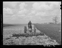 Breaking up cornstalks with disc. Grundy County, Iowa. Sourced from the Library of Congress.