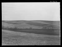 Western Iowa strip cropping. Monona County, Iowa. Sourced from the Library of Congress.