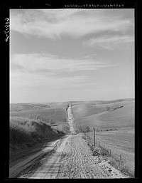 [Untitled photo, possibly related to: County road in Western Iowa corn country. Monona County, Iowa]. Sourced from the Library of Congress.