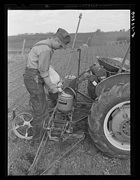 Pouring hybrid corn seed into box of two-row tractor planter. Jasper County, Iowa. Sourced from the Library of Congress.