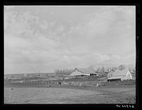Large stock farm. Harrison County, Iowa. Sourced from the Library of Congress.