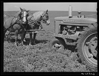 [Untitled photo, possiby related to: Horse and tractor. Jasper County, Iowa]. Sourced from the Library of Congress.