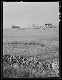 Farm. Fayette County, Kentucky. Sourced from the Library of Congress.
