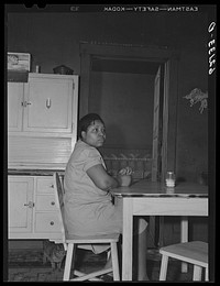 [Untitled photo, possibly related to: Steelworker's wife. Aliquippa, Pennsylvania]. Sourced from the Library of Congress.