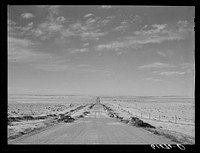 U.S. Highway no. 18 through Shannon County, South Dakota. Tumbleweeds lining edges of road. Sourced from the Library of Congress.