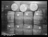 Tierces of pickled hams in storage at Fulton Market cold storage plant. Chicago, Illinois. Sourced from the Library of Congress.