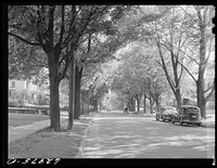 Residence street. Marysville, Ohio. Sourced from the Library of Congress.