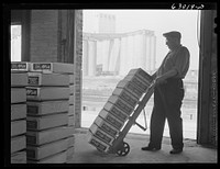 Warehouse at fruit terminal, Chicago, Illinois. Shipments of fruit by commission merchants at auction are loaded onto trucks as soon as drivers and loaders can be notified what shipments have been bought. Sourced from the Library of Congress.