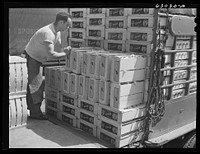 Loading crates of fruit onto truck at fruit terminal. Chicago, Illinois. Sourced from the Library of Congress.