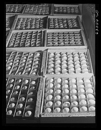 Crates of eggs at egg breaking plant. Chicago, Illinois. Sourced from the Library of Congress.