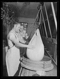 Lowering the curd into form in which it will be pressed into a cheese. Swiss cheese factory. Madison, Wisconsin. Sourced from the Library of Congress.