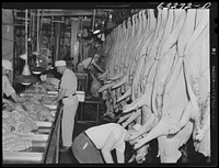 Inspections on innards in the pork department. Packing plant, Austin, Minnesota. Sourced from the Library of Congress.