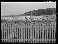 Picket fence near Faribault, Minnesota. Sourced from the Library of Congress.