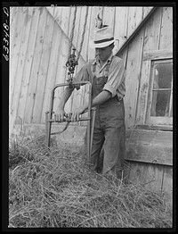 Loading hay into barn. Son of FSA (Farm Security Administration) borrower who moved from Nebraska drought area three years ago to Douglas County, Wisconsin. Sourced from the Library of Congress.