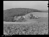 Dairy farm. Iowa County, Wisconsin. Sourced from the Library of Congress.