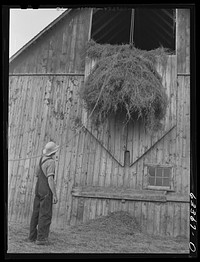 [Untitled photo, possibly related to: Loading hay into barn. Son of FSA (Farm Security Administration) borrower who moved from Nebraska drought area three years ago to Douglas County, Wisconsin]. Sourced from the Library of Congress.