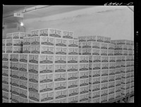 Packaged butter. Land O'Lakes plant, Minneapolis, Minnesota. Sourced from the Library of Congress.