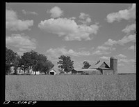 Farm. Santi County, Minnesota. Sourced from the Library of Congress.
