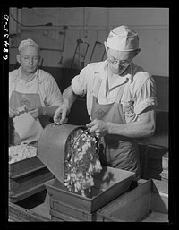 American cheese plant. Putting the salted curd into forms. Antigo, Wisconsin. Sourced from the Library of Congress.