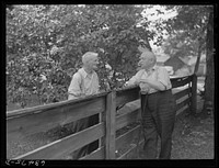 [Untitled photo, possibly related to: Residents of copper range town talking over back fence. Laurium, Michigan]. Sourced from the Library of Congress.