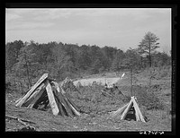 Tobacco beds. Halifax County, Virginia. Sourced from the Library of Congress.