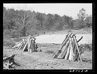 Tobacco beds. Halifax County, Virginia. Sourced from the Library of Congress.