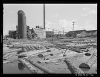 Logs at lumber mill. Trout Creek, Michigan. Sourced from the Library of Congress.