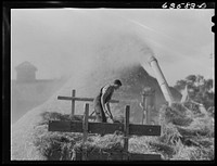 Threshing rye. Portage County, Wisconsin. Sourced from the Library of Congress.